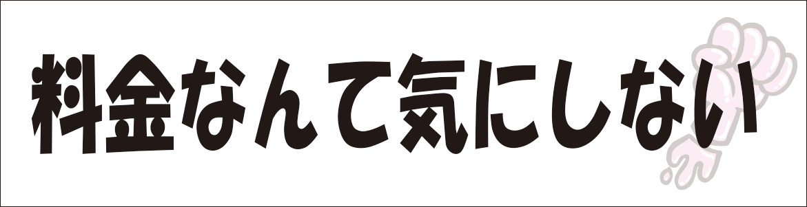 料金なんて気にしない